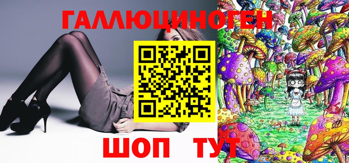 Галлюциногенные грибы прущие грибы  Вход с VPN  Мурино 